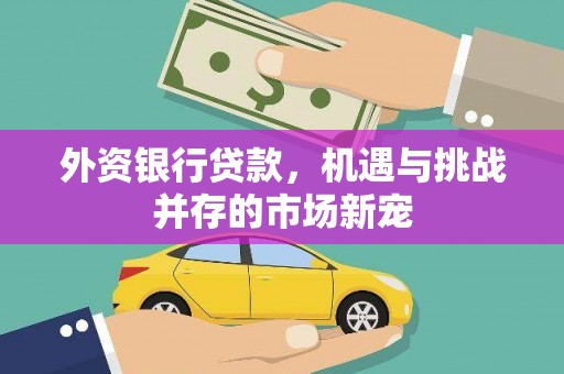 定西外资银行贷款，机遇与挑战并存的市场新宠