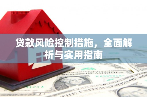 定西贷款风险控制措施，全面解析与实用指南