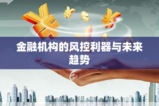 定西金融机构的风控利器与未来趋势
