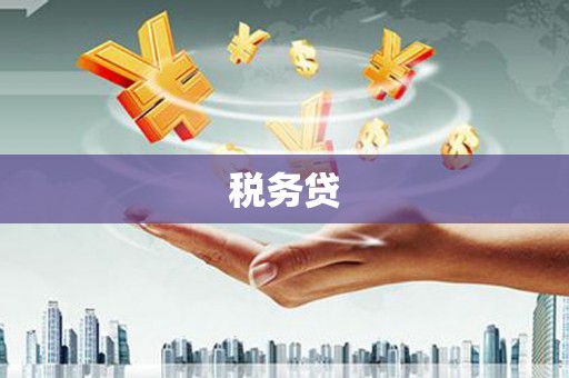 定西税务贷