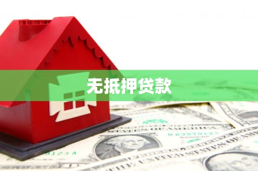 定西无抵押贷款