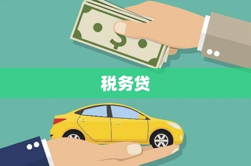 定西税务贷