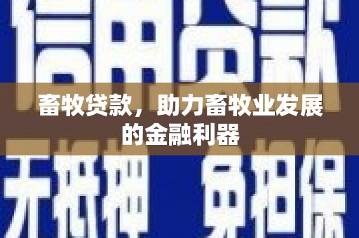 定西畜牧贷款，助力畜牧业发展的金融利器