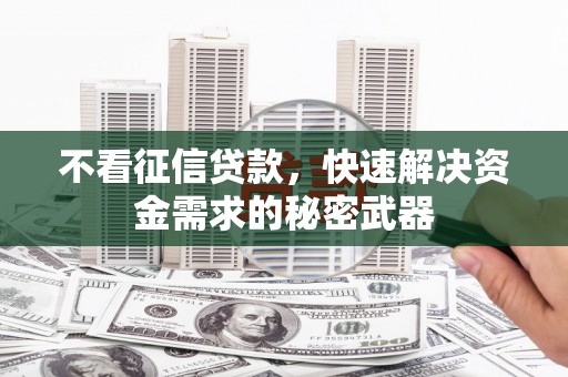 定西不看征信贷款，快速解决资金需求的秘密武器