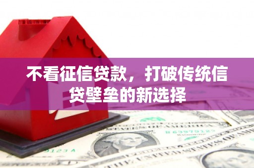 定西不看征信贷款，打破传统信贷壁垒的新选择