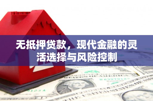 定西无抵押贷款，现代金融的灵活选择与风险控制