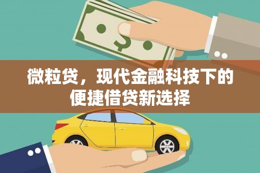 定西微粒贷，现代金融科技下的便捷借贷新选择