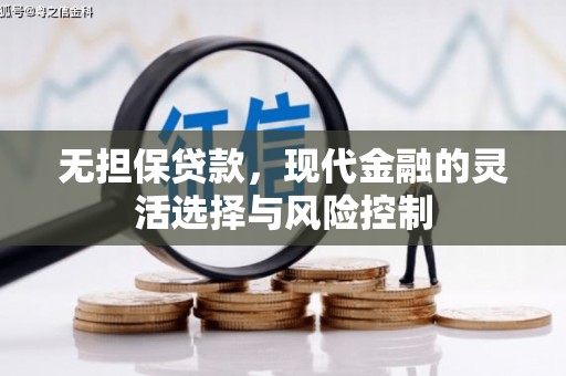 定西无担保贷款，现代金融的灵活选择与风险控制