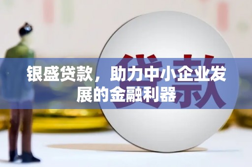 定西银盛贷款，助力中小企业发展的金融利器