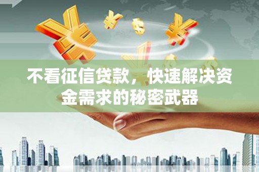 定西不看征信贷款，快速解决资金需求的秘密武器