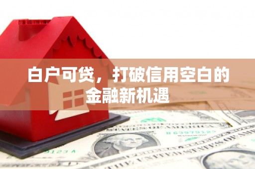 定西白户可贷，打破信用空白的金融新机遇