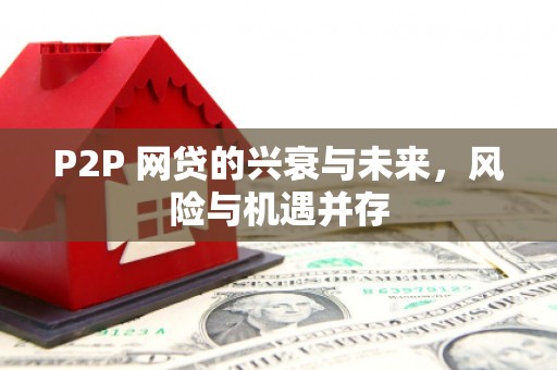 定西P2P 网贷的兴衰与未来，风险与机遇并存