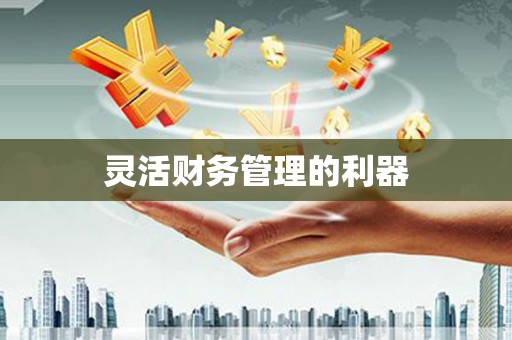 定西灵活财务管理的利器