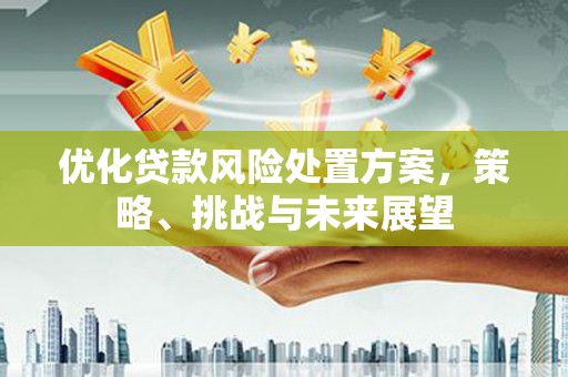 定西优化贷款风险处置方案，策略、挑战与未来展望