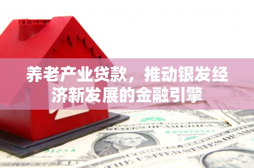 定西养老产业贷款，推动银发经济新发展的金融引擎