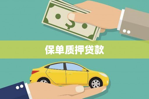 定西保单质押贷款