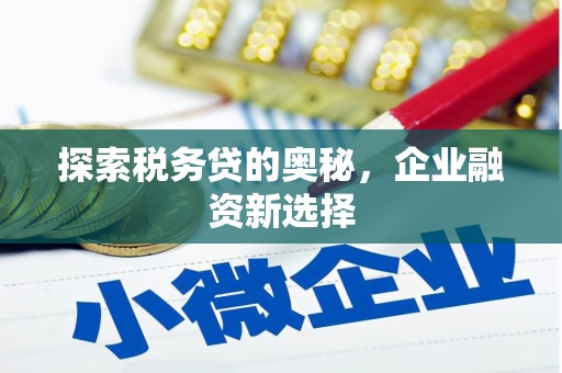 定西探索税务贷的奥秘，企业融资新选择