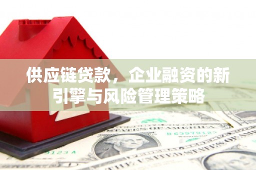 定西供应链贷款，企业融资的新引擎与风险管理策略