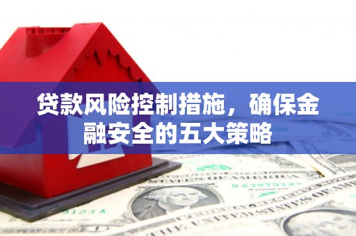 定西贷款风险控制措施，确保金融安全的五大策略