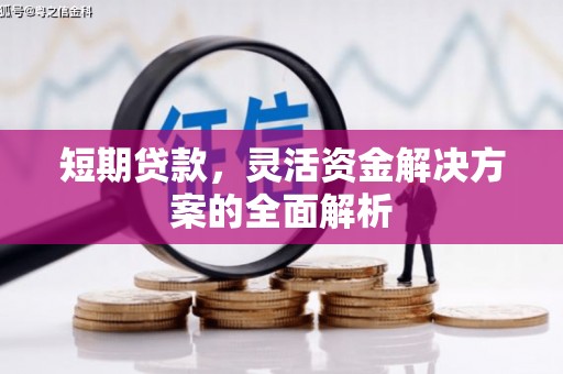 定西短期贷款，灵活资金解决方案的全面解析