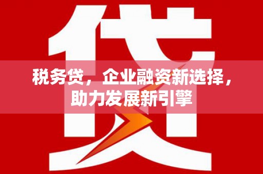 定西税务贷，企业融资新选择，助力发展新引擎