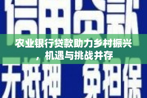 定西农业银行贷款助力乡村振兴，机遇与挑战并存
