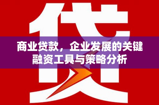 定西商业贷款，企业发展的关键融资工具与策略分析