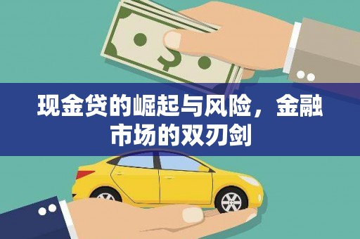 定西现金贷的崛起与风险，金融市场的双刃剑