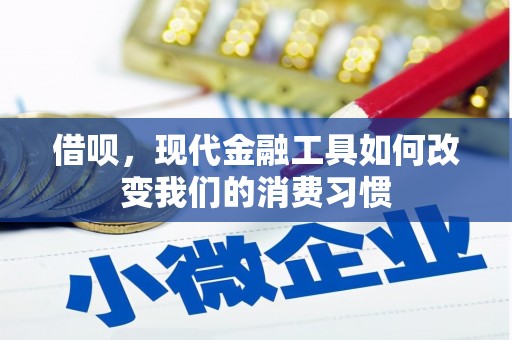 定西借呗，现代金融工具如何改变我们的消费习惯