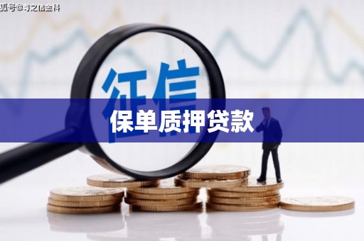 定西保单质押贷款