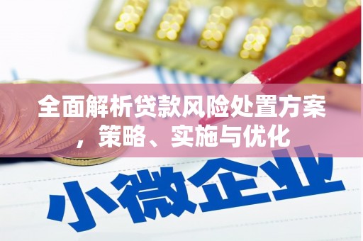 定西全面解析贷款风险处置方案，策略、实施与优化