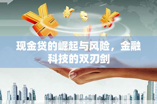 定西现金贷的崛起与风险，金融科技的双刃剑