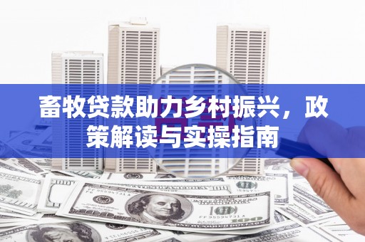 定西畜牧贷款助力乡村振兴，政策解读与实操指南