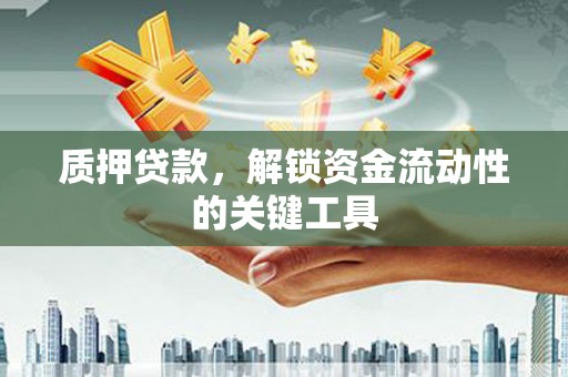 定西质押贷款，解锁资金流动性的关键工具