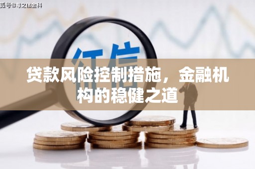 定西贷款风险控制措施，金融机构的稳健之道
