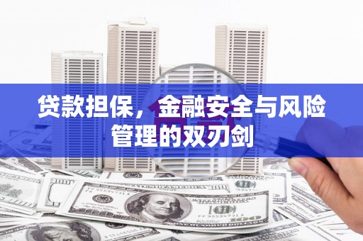 定西贷款担保，金融安全与风险管理的双刃剑
