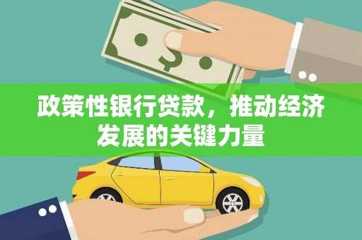 定西政策性银行贷款，推动经济发展的关键力量