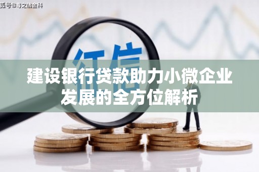 定西建设银行贷款助力小微企业发展的全方位解析