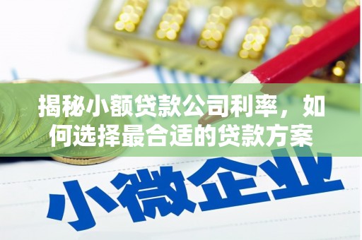 定西揭秘小额贷款公司利率，如何选择最合适的贷款方案