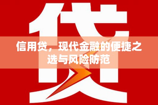 定西信用贷，现代金融的便捷之选与风险防范