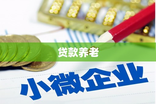 定西贷款养老