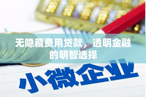 定西无隐藏费用贷款，透明金融的明智选择
