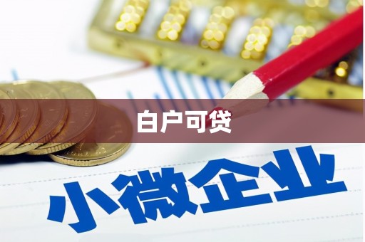 定西白户可贷