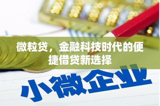 定西微粒贷，金融科技时代的便捷借贷新选择