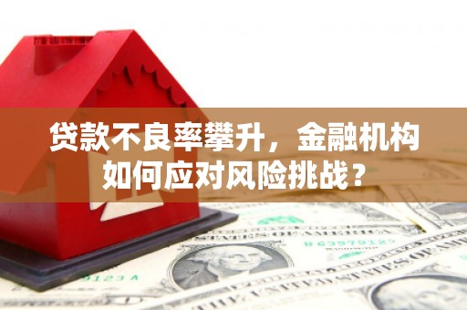 定西贷款不良率攀升，金融机构如何应对风险挑战？