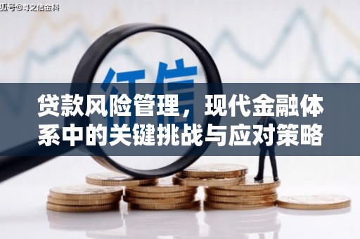 定西贷款风险管理，现代金融体系中的关键挑战与应对策略