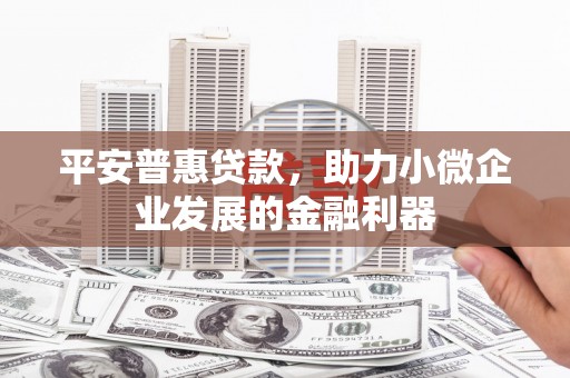 定西平安普惠贷款，助力小微企业发展的金融利器