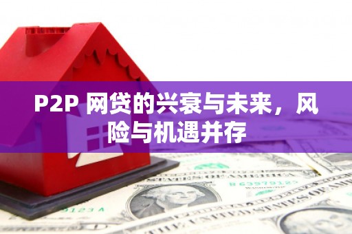 定西P2P 网贷的兴衰与未来，风险与机遇并存
