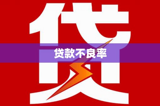 定西贷款不良率
