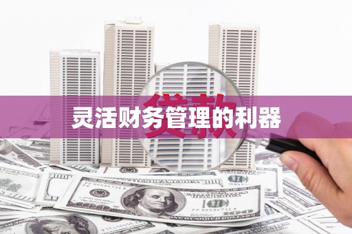 定西灵活财务管理的利器